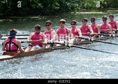 Cambridge May Bumps, a St. Catherine`s College men`s eight Stock Photo